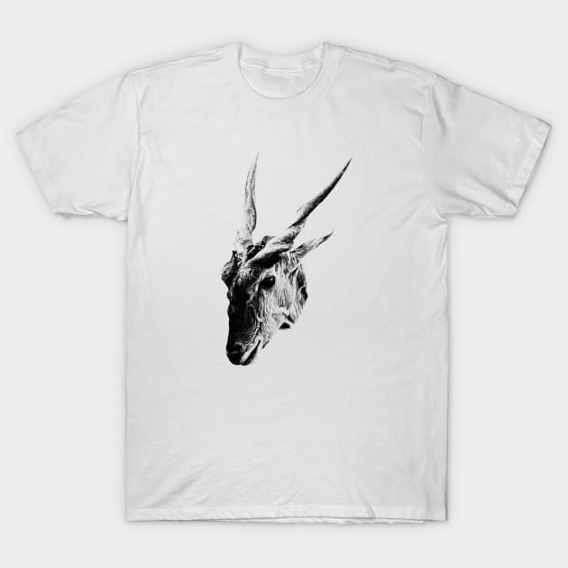 Eland antelope T-Shirt by Guardi